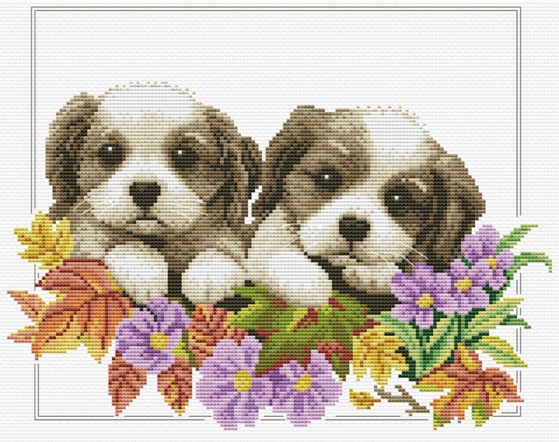 Peeking  Pups