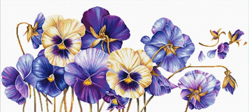 Purple Pansies
