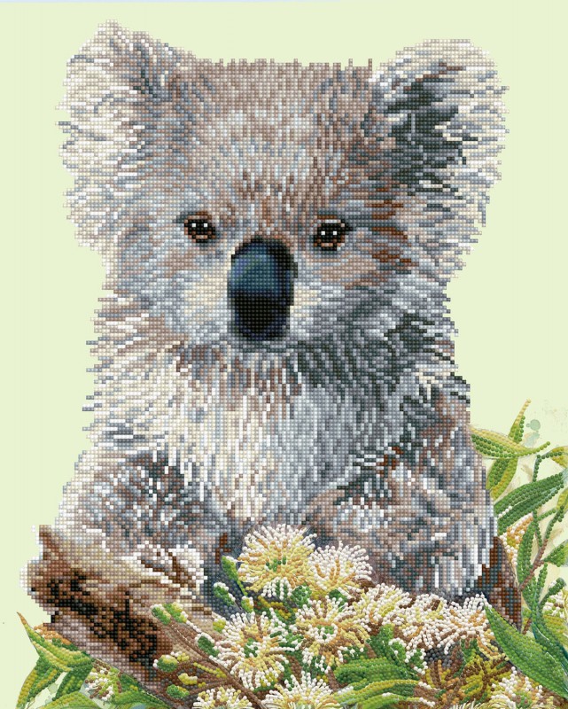 Koala & Eucalypus Blossom Koala & Eucalypus Blossom