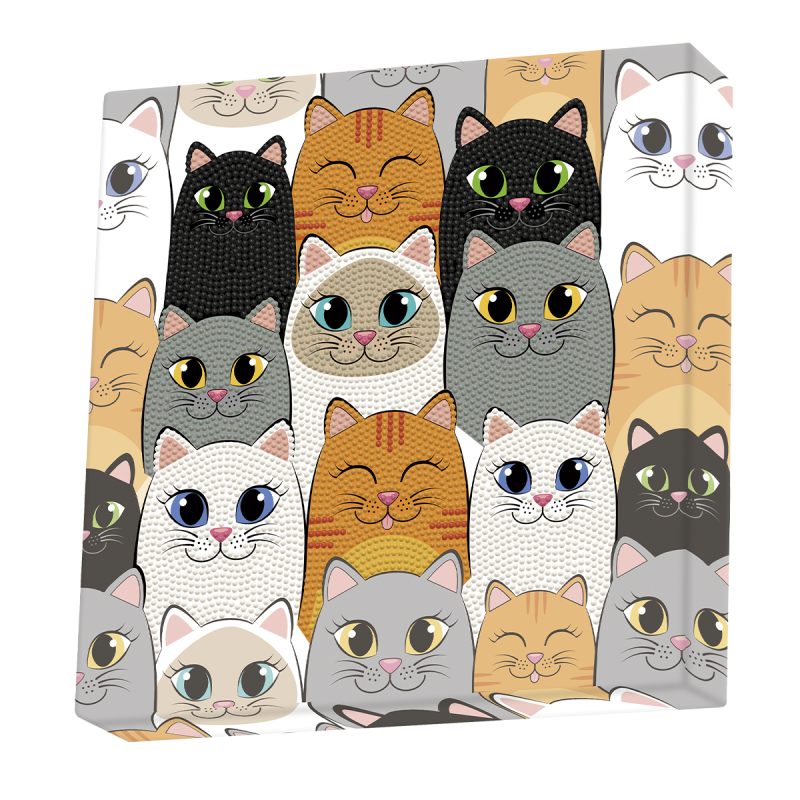 Cat Clan Cat Clan