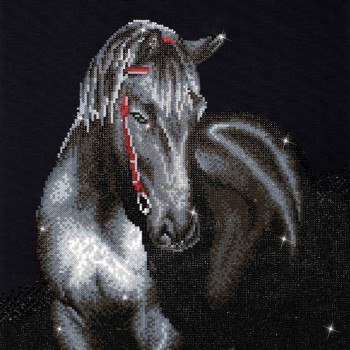DD10.012 - Midnight Stallion