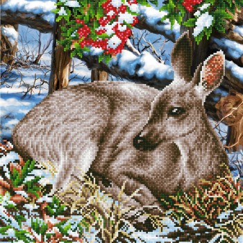 DD10.017 - Quiet Moment