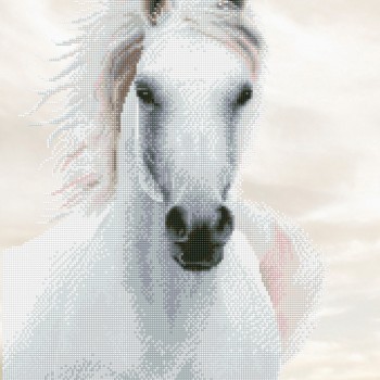 DD10.026 - Imperial Stallion