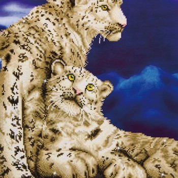 DD12.004 - Snow Leopards