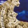 DD12.004 - Snow Leopards