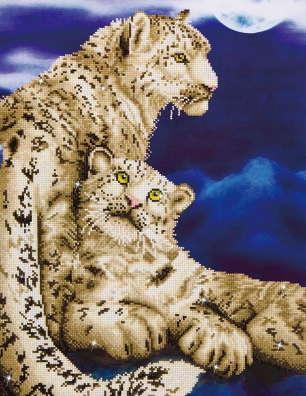 DD12.004 - Snow Leopards