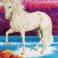 DD12.005 - Magical Unicorn