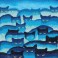 DD12.015 - Smokey Mountain Cats