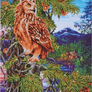 DD12.025 - Twilight Wisdom