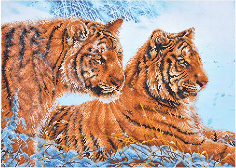 DD12.026 - Tigers in the Snow