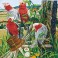 DD12.031 - Galah Quartet