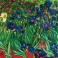 DD13.007 - Irises (Van Gogh)