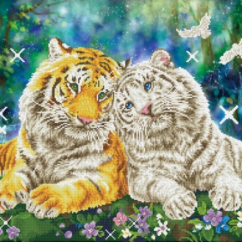 DD13.026 - Tiger Smooch