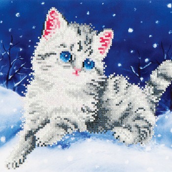 DD5.006 - Kitten in the Snow