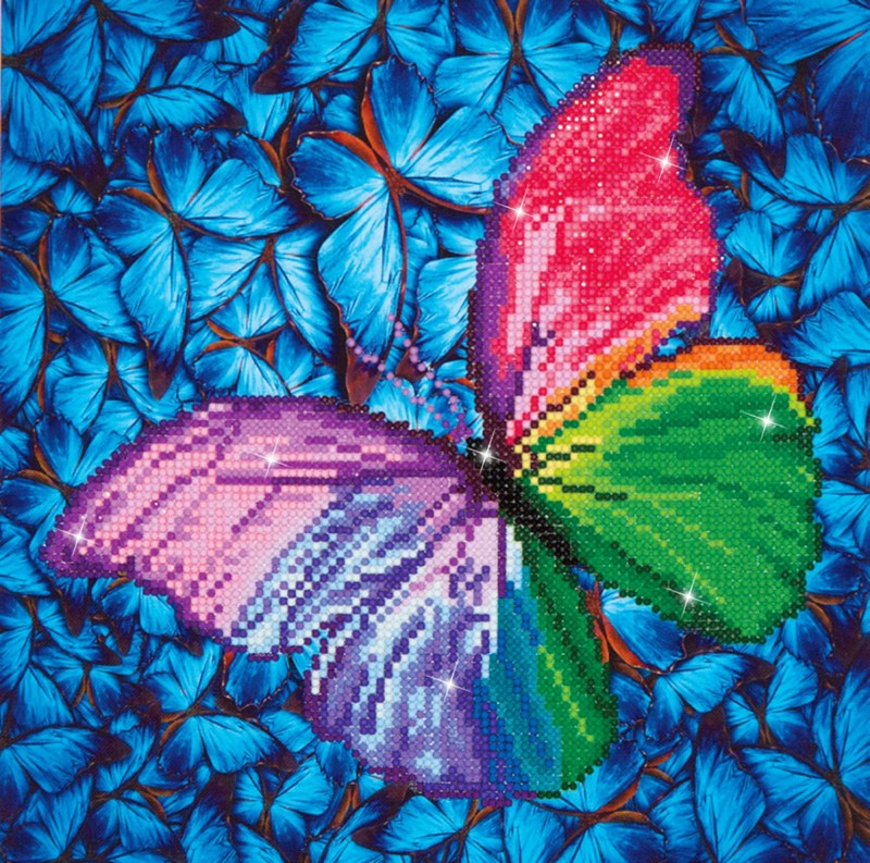 DD5.015 - Flutter by Pink