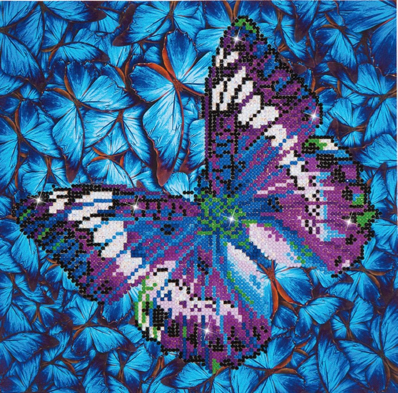 DD5.017 - Flutter by Mauve