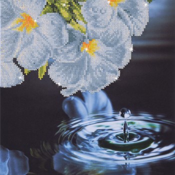 DD5.019 - Water Droplet