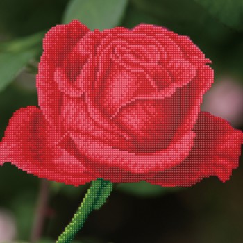 DD5.038 - Rose Bud