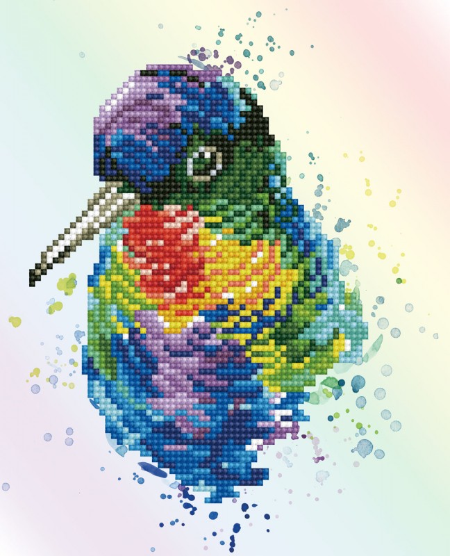DD5.056 - Rainbow Feathers