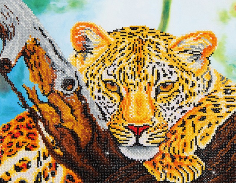DD7.002 - Leopard Look