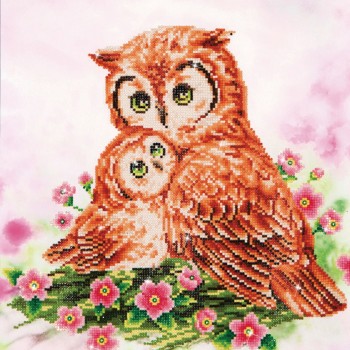 DD7.004 - Mother & Baby Owl