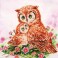DD7.004 - Mother & Baby Owl