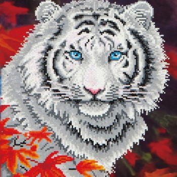 DD7.006 - White Tiger in Autumn
