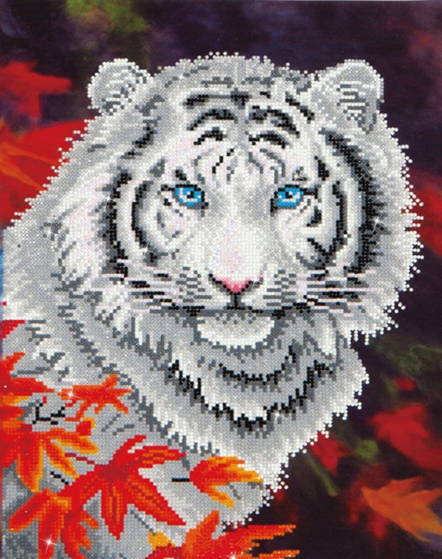 DD7.006 - White Tiger in Autumn