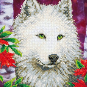 DD7.007 - White Wolf