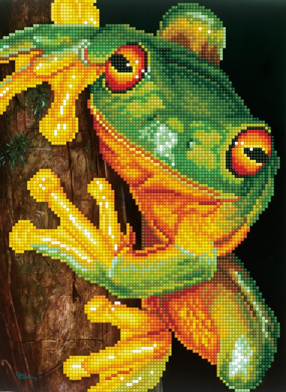 DD7.031 - Green Tree Frog