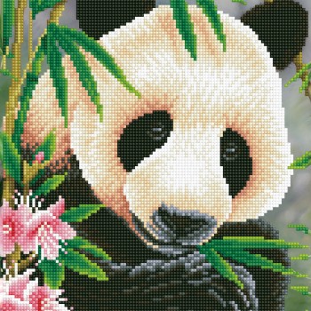 DD7.040 - Panda Prince