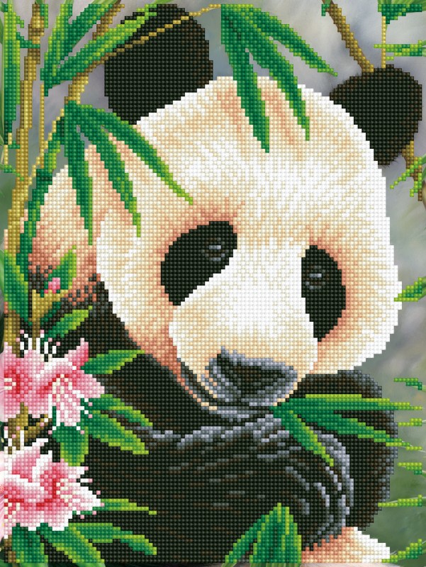 DD7.040 - Panda Prince