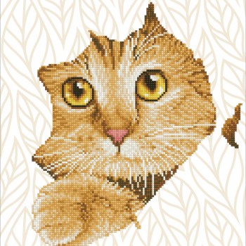 DD7.052 - Kitten Peek