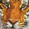 DD8.001 - Bengal Magic