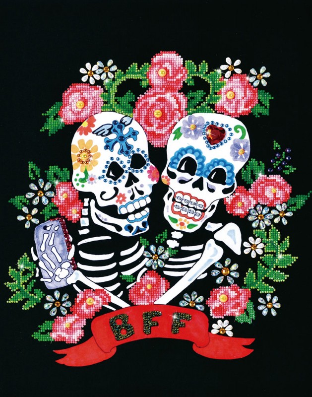 DD9.011 - BFF