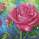 DD9.014 - Les Roses du Jardin