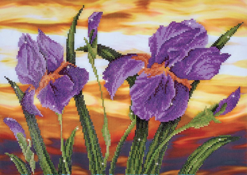 DD9.016 - Iris Sunset