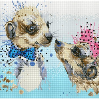 DD9.030 - Meerly Love