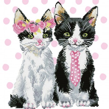 DD9.053 - Mr & Mrs Pink