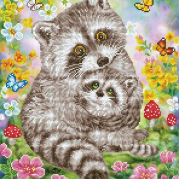 DD9.054 - Sweet Racoons