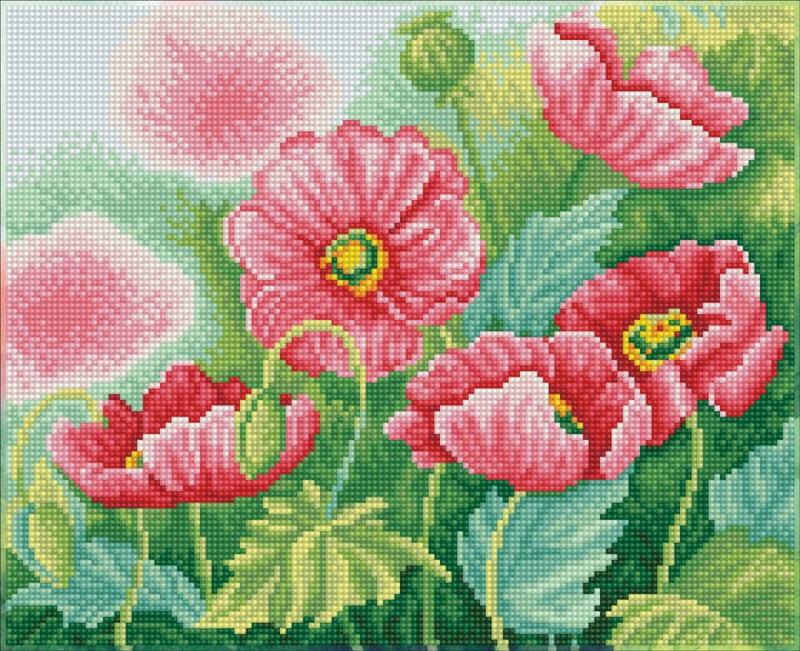 Watercolour Poppies Watercolour Poppies