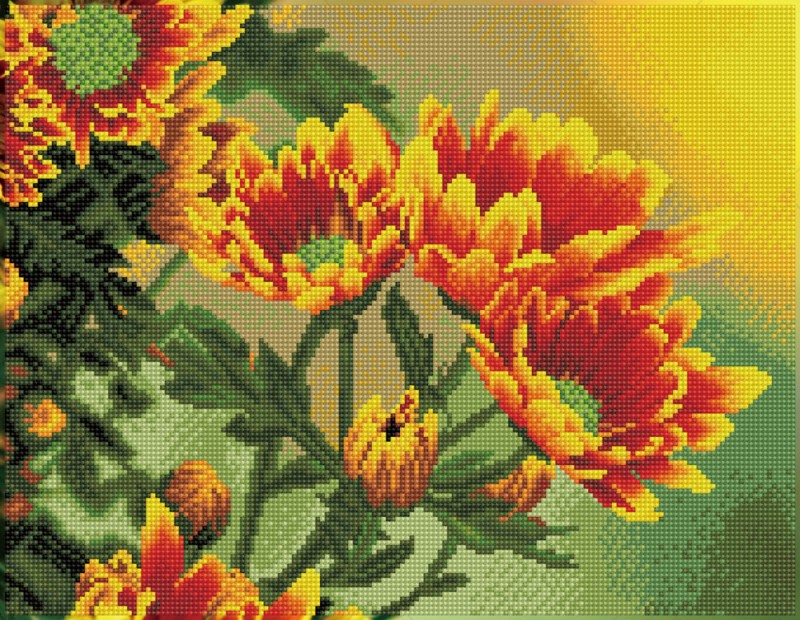 Field Daisies Field Daisies