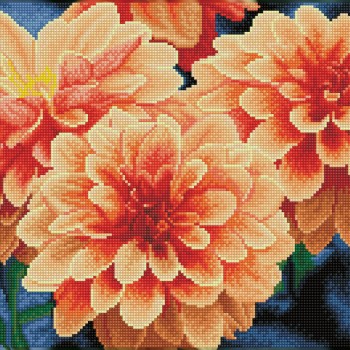 Peach Dahlias