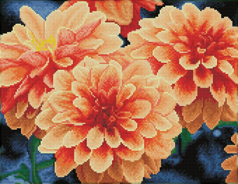Peach Dahlias Peach Dahlias