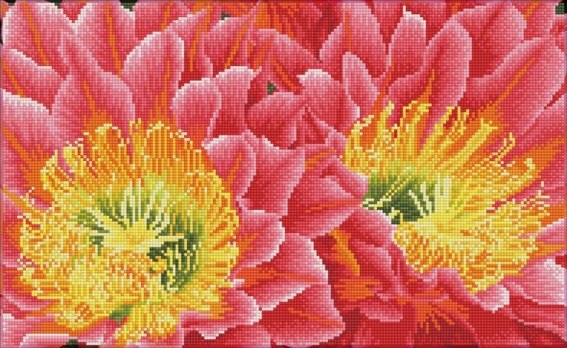 Desert Blooms Desert Blooms