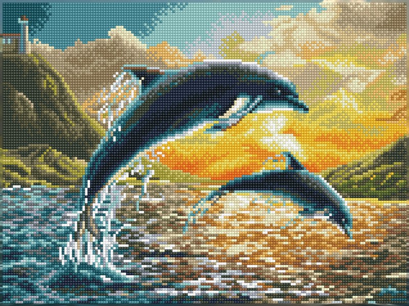 Dolphin Sunset Dolphin Sunset