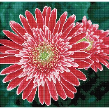 Pink Gerberas  - Pre-Framed Kit