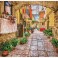 Rustic Street - Pre-Framed Kit