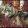 Autumn Wolf - Pre-Framed Kit