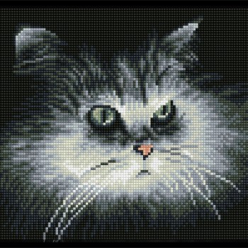 Shadow Cat - Pre-Framed Kit